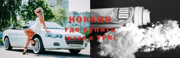 прущие грибы Нефтекумск