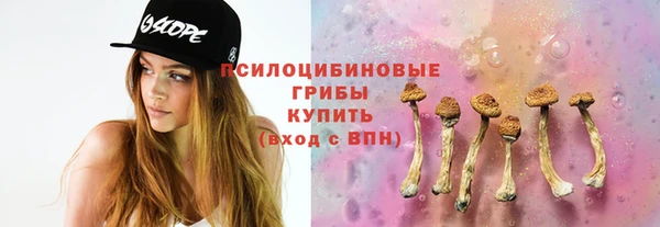 гидропоника Балабаново