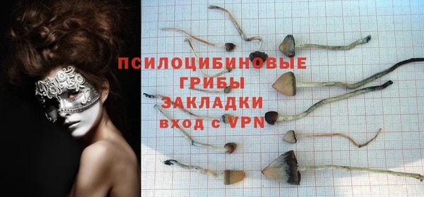 гидропоника Балабаново