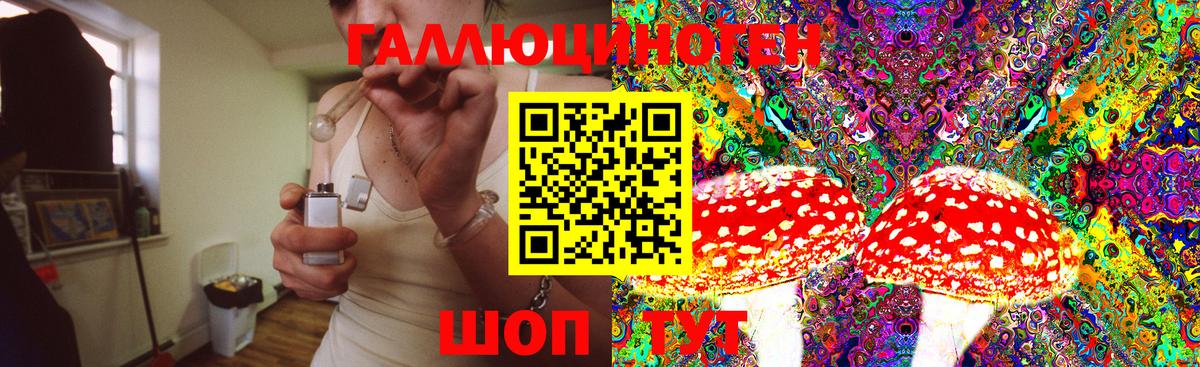 Галлюциногенные грибы GOLDEN TEACHER Ногинск