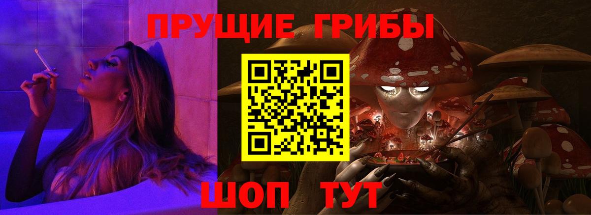 Ногинск  Псилоцибиновые грибы GOLDEN TEACHER  Вход с VPN  Галлюциногенные грибы Psilocybe 